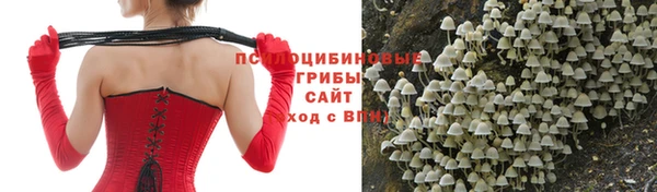 дурь Беломорск