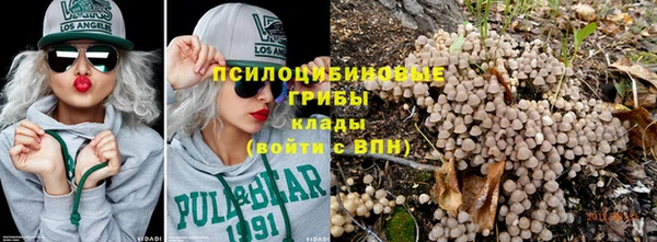 MESCALINE Белокуриха