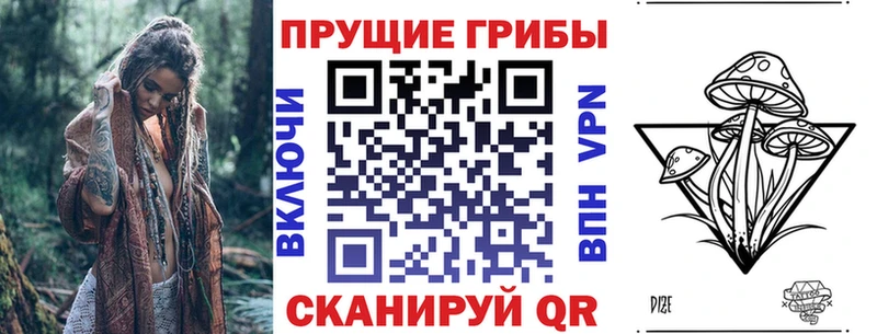 хочу наркоту  Брюховецкая  Галлюциногенные грибы Cubensis 