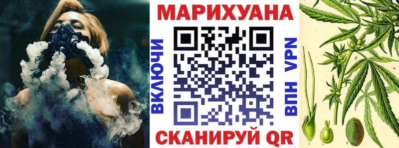 Конопля OG Kush  Брюховецкая 